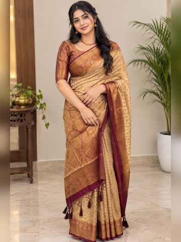 Saree with stitched Blouse